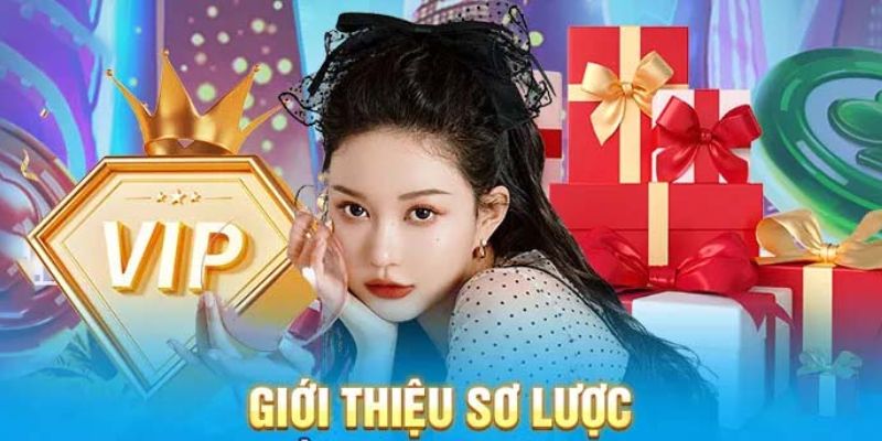 Sơ lược thông tin về thương hiệu 7M